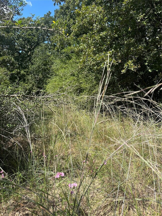 TR 1 Cr 219, Buffalo, TX 75831 - photo 7