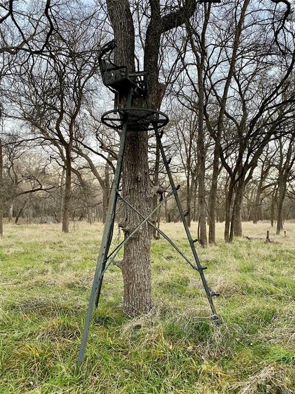 243 Iroquois Trail, Weatherford, TX 76087 - photo 6