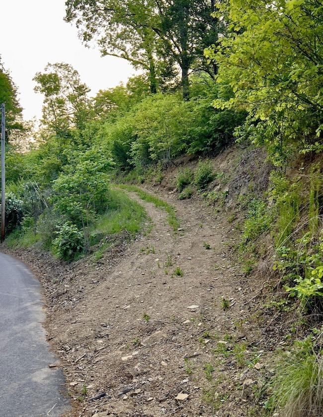 0 Tranquility Trail unit 20325655, Dandridge, TN 37725 - photo 4