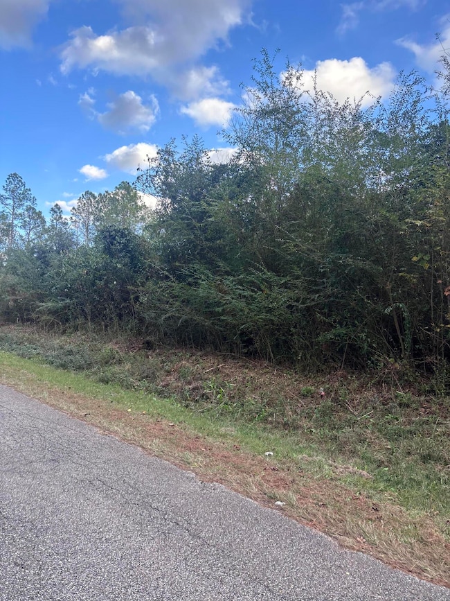 00 Phillips Rd, Sumrall, MS 39482 - photo 3