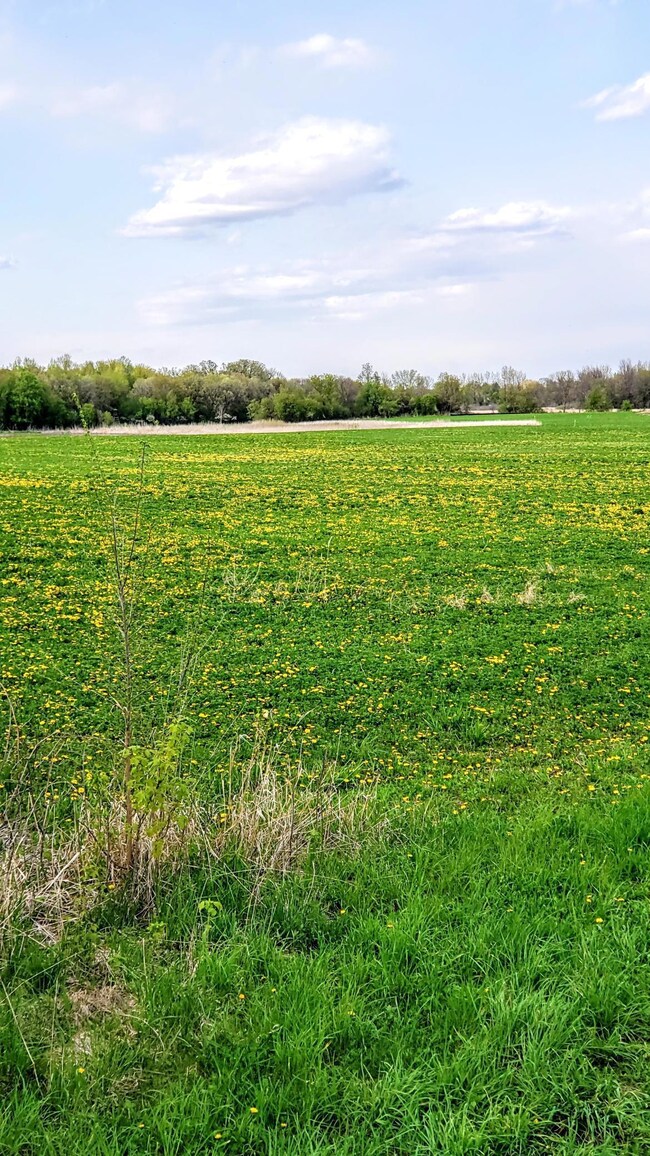 23000 Larsen Rd, Corcoran, MN 55340 - photo 7