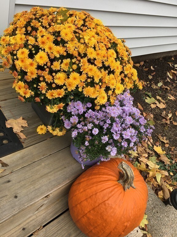 14 School St unit 1, Danvers, MA 01923 - photo 4