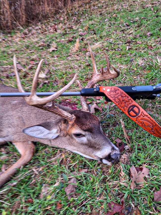 0 Chapman Rd, Falkner, MS 38629 - photo 7