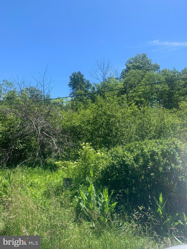 17188 George Washington Hwy, Mount Storm, WV 26739 - photo 4