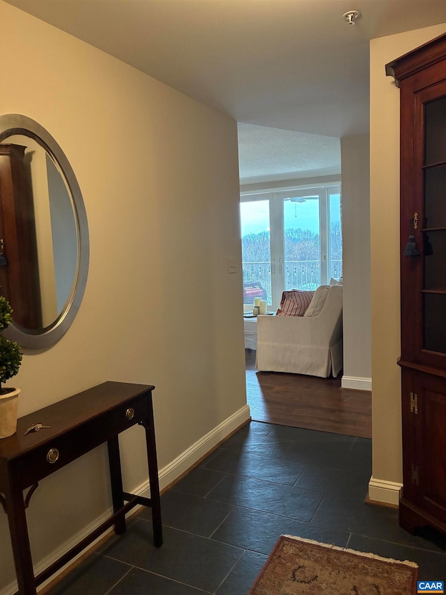500 Crestwood Dr unit 2403, Charlottesville, VA 22903 - photo 3
