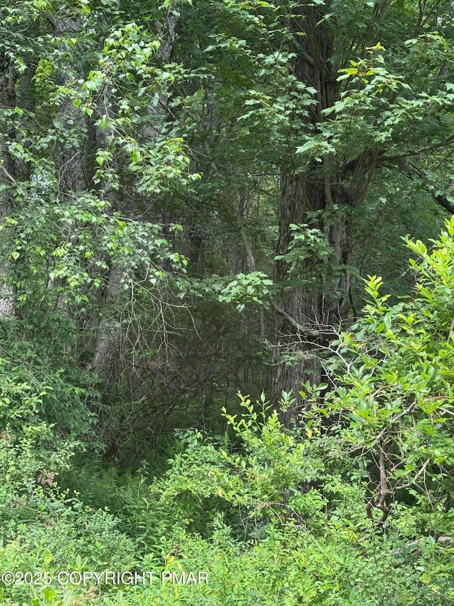 26 Spruce Rd, Blakeslee, PA 18610 - photo 5