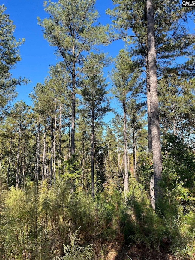 DRF 3 Dawkins Rd unit DRF 3, Pacolet, SC 29372 - photo 7