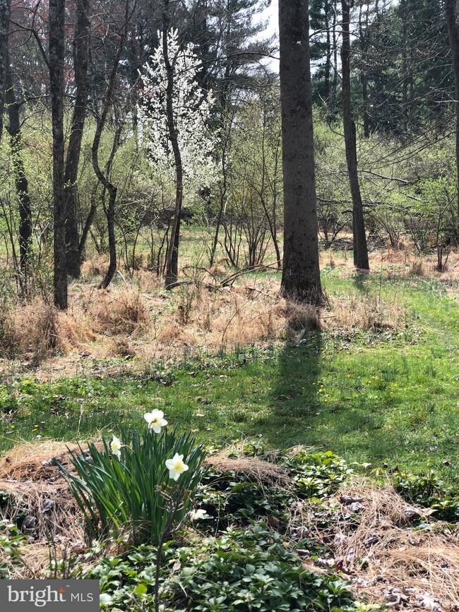 12 Pine Valley Rd, Doylestown, PA 18901 - photo 4