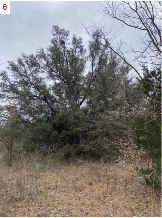 TBD Lot 5 Phillips Dr, Azle, TX 76020 - photo 6