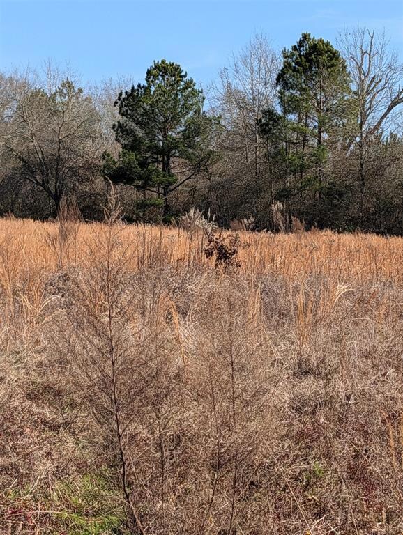 000 Mudline Rd, Eagletown, OK 74734 - photo 5