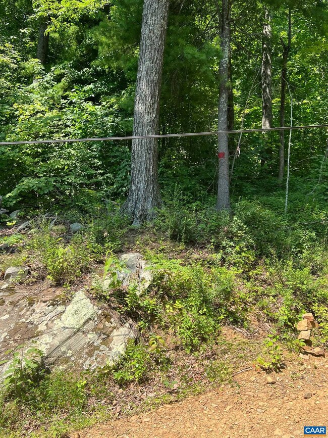 0 Barrow Ln unit 655216, Stanardsville, VA 22973 - photo 3