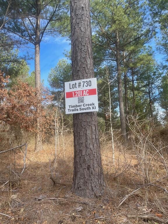 730 Timber Creek Trails South XI, Broken Bow, OK 74728 - photo 5