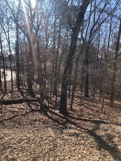 6 Radcliffe Dr, Bella Vista, AR 72714 - photo 2