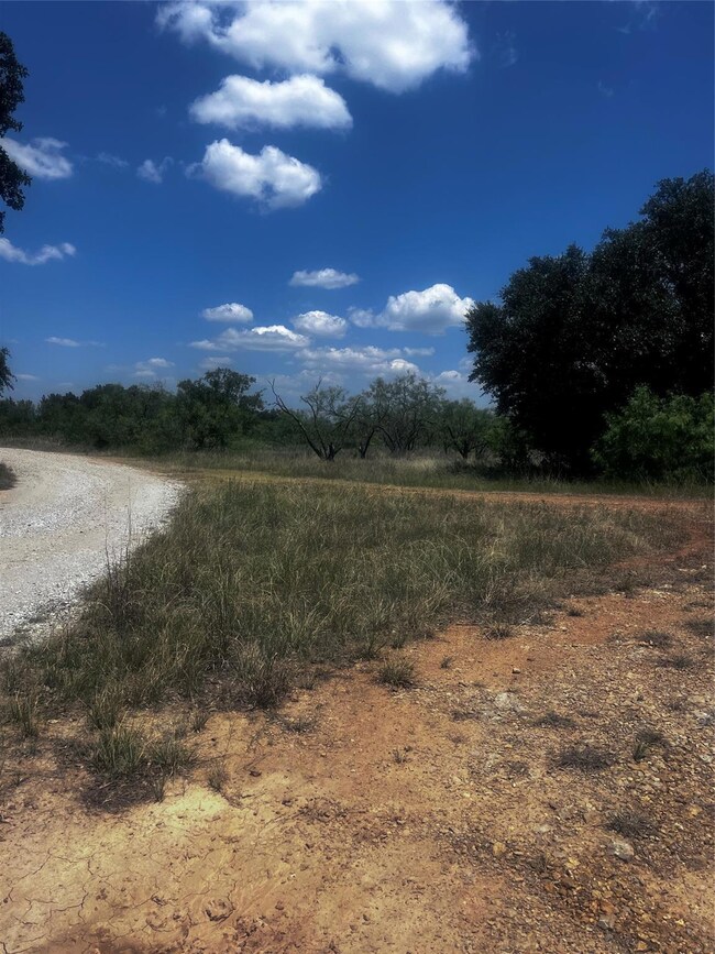 TBD Amy Dr, Brownwood, TX 76801 - photo 5