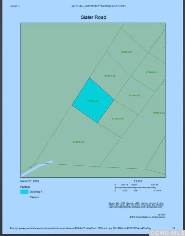 0 Slater Rd unit 108329, Maplecrest, NY 12454 - photo 2