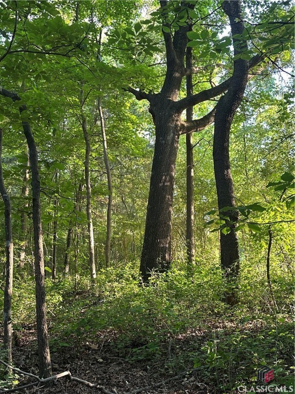 0 Hwy 106 unit 1016968, Hull, GA 30646 - photo 4