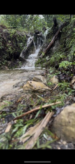 unlisted-address, Medina, TX 78055 - photo 3