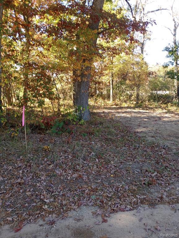 00 Springtime, Webber Township, MI 49304 - photo 7