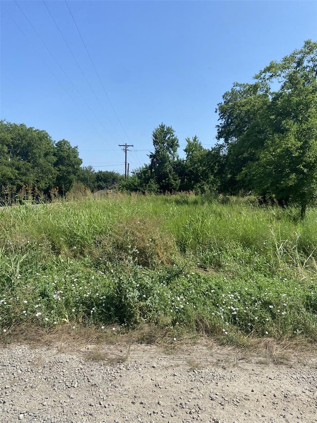 TBD E Cedar St, Whitewright, TX 75491 - photo 3