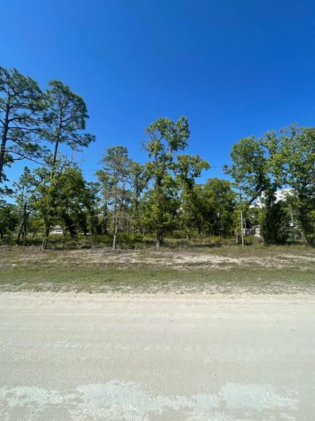 000 Red Oak Rd, Keaton Beach, FL 32348 - photo 2