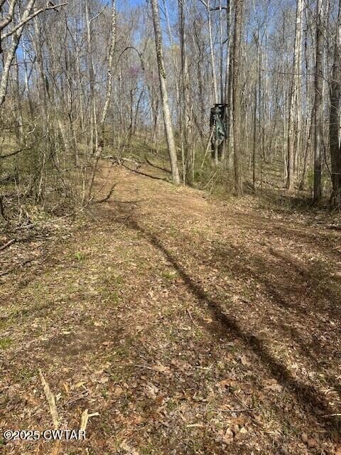 4489 Spring Creek Rd, Lavinia, TN 38348 - photo 6