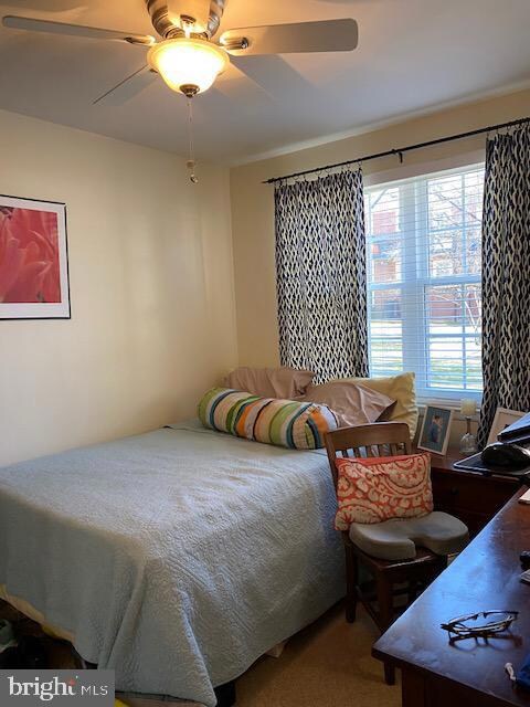 2615 S Walter Reed Dr unit A, Arlington, VA 22206 - photo 7