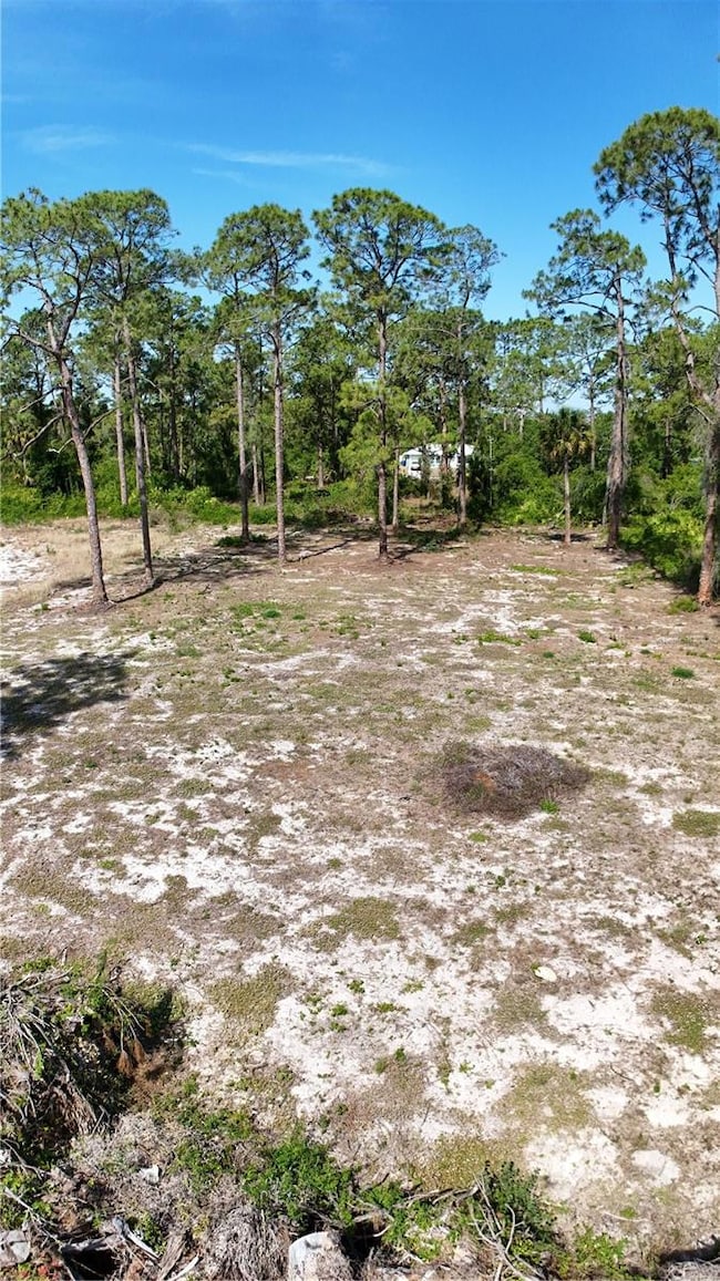 2005 Columbus Ave, Alva, FL 33920 - photo 7