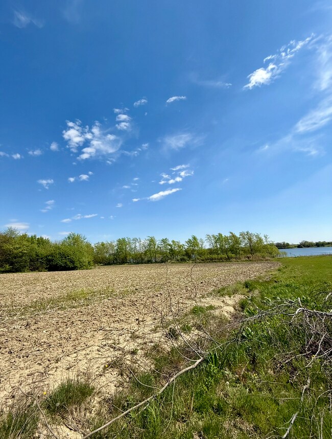 6835 W Stuenkel Rd, Monee, IL 60449 - photo 5