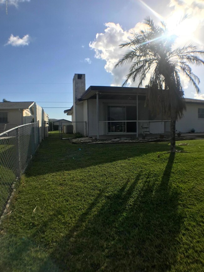 back yard