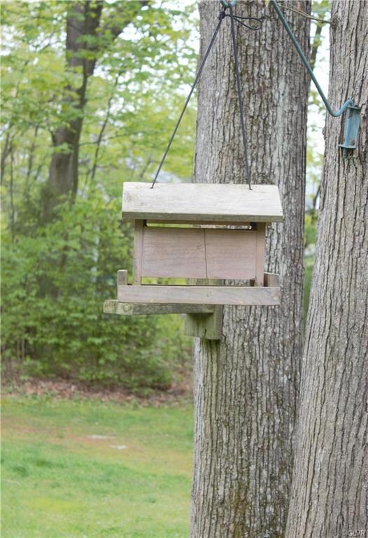 206 Dowbush Rd, Lehighton, PA 18235 - photo 7