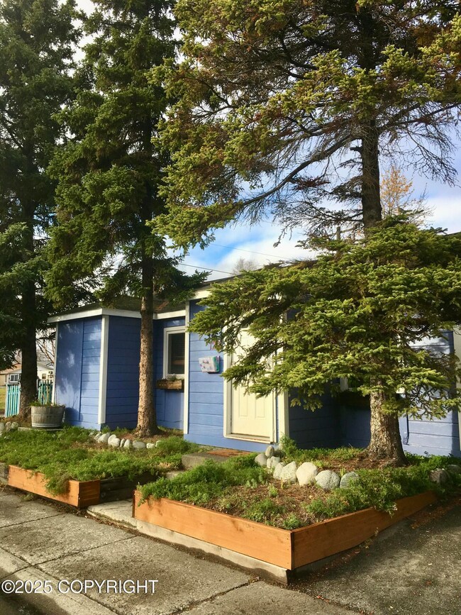 Garden Beds!