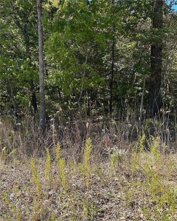 0 Pickering Dr unit 1230504, Bella Vista, AR 72714 - photo 7