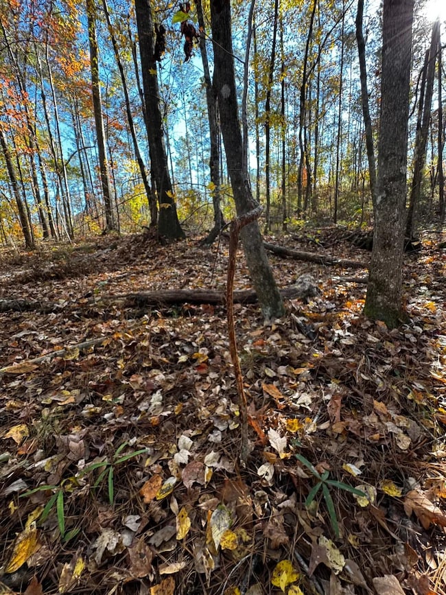 21 Lee Road 254, Salem, AL 36874 - photo 3