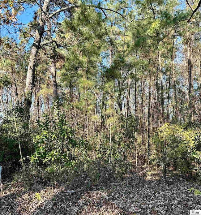 Lots 2, 3, 8 E 9th St, Jonesboro, LA 71251 - photo 3