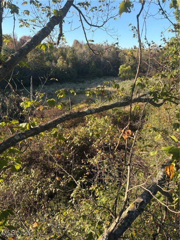 0 US Route 6 unit 5161661, Rome, OH 44085 - photo 5