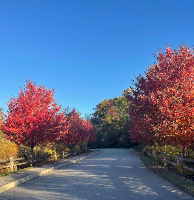 Fall Photo