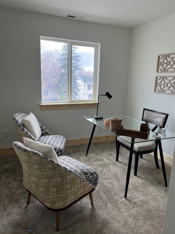 717 2nd Ave W, Three Forks, MT 59752 - photo 6