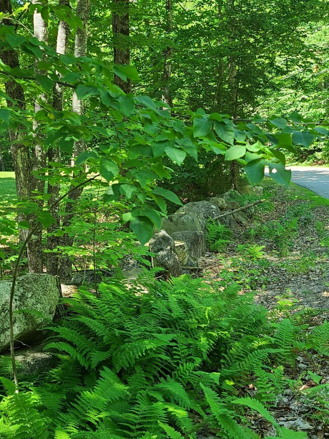 Langley Shore Dr side