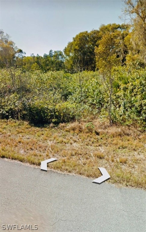 726 Kehosha Ave, Lehigh Acres, FL 33974 - photo 3