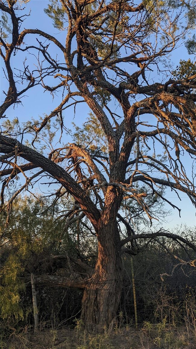 TBD (Tract 6) Country Rd, Abilene, TX 79602 - photo 5