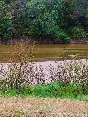 161 River View Ct, Millsap, TX 76066 - photo 5