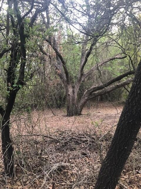 408 Forest Trail, Weatherford, TX 76085 - photo 6