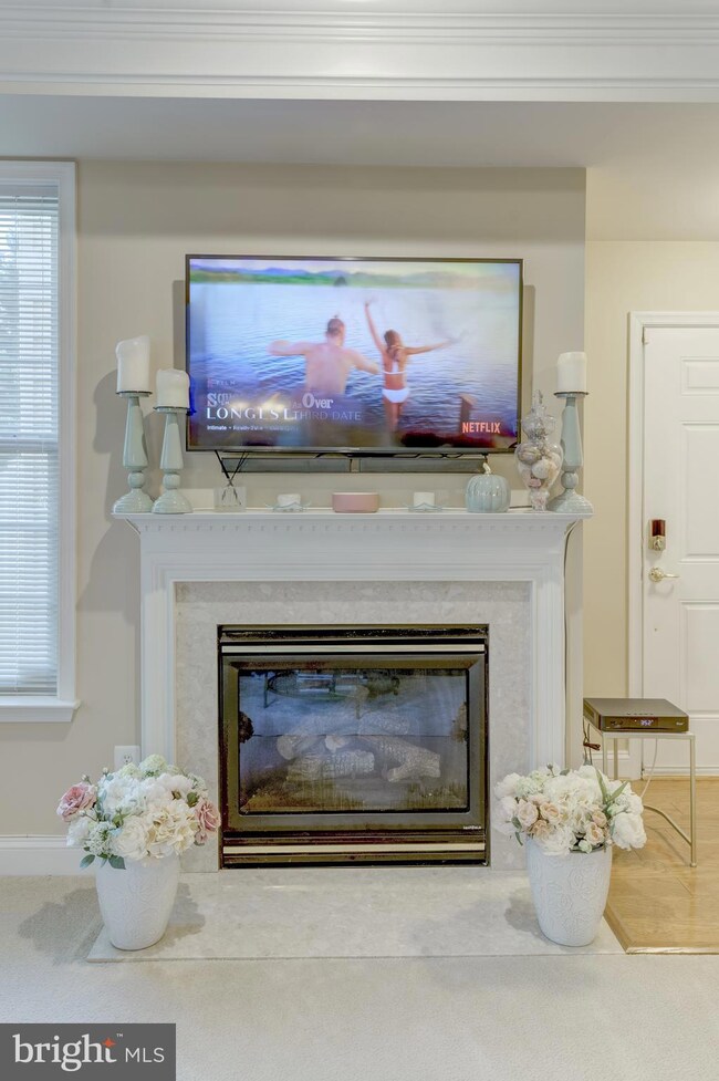 7131 Huntley Creek Place unit 53, Alexandria, VA 22306 - photo 5