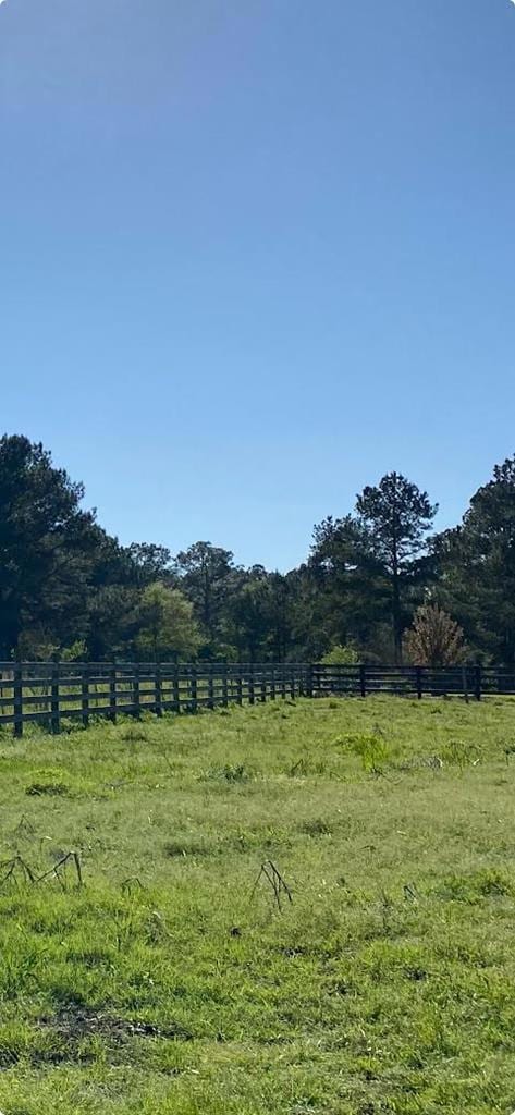 US 1 Us 1 and Hwy 23, Alma, GA 31510 - photo 2