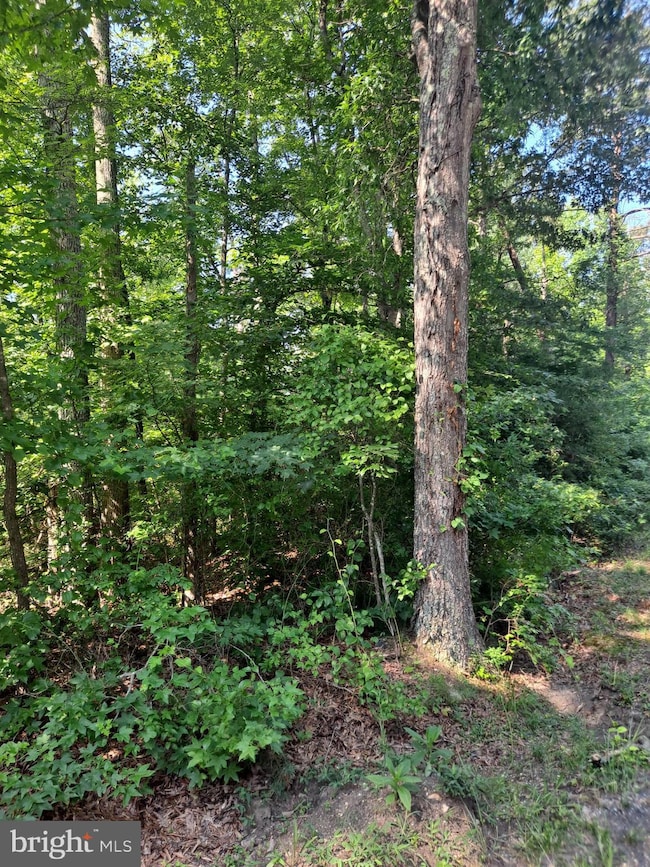 0 Poseytown Rd unit MDCH2039212, Nanjemoy, MD 20662 - photo 3