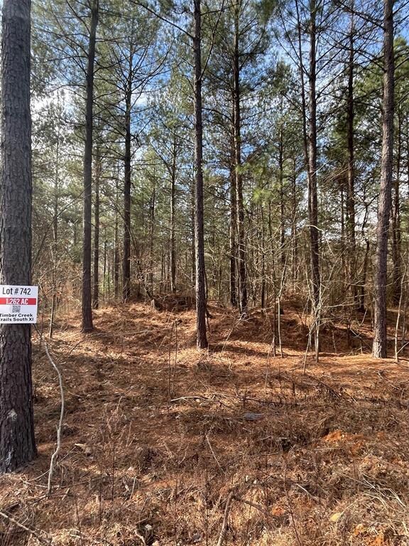 View of local wilderness