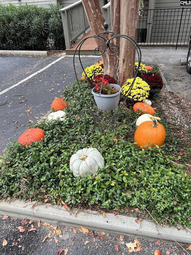 1441 Old Chapin Rd unit 212, Lexington, SC 29072 - photo 6