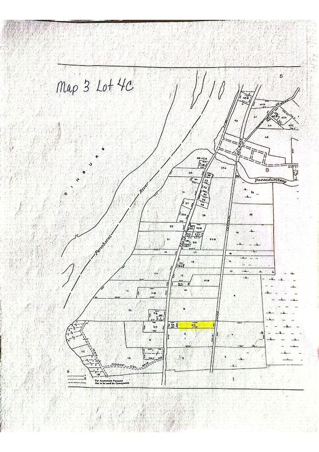 Passadumkeag - Tax Map