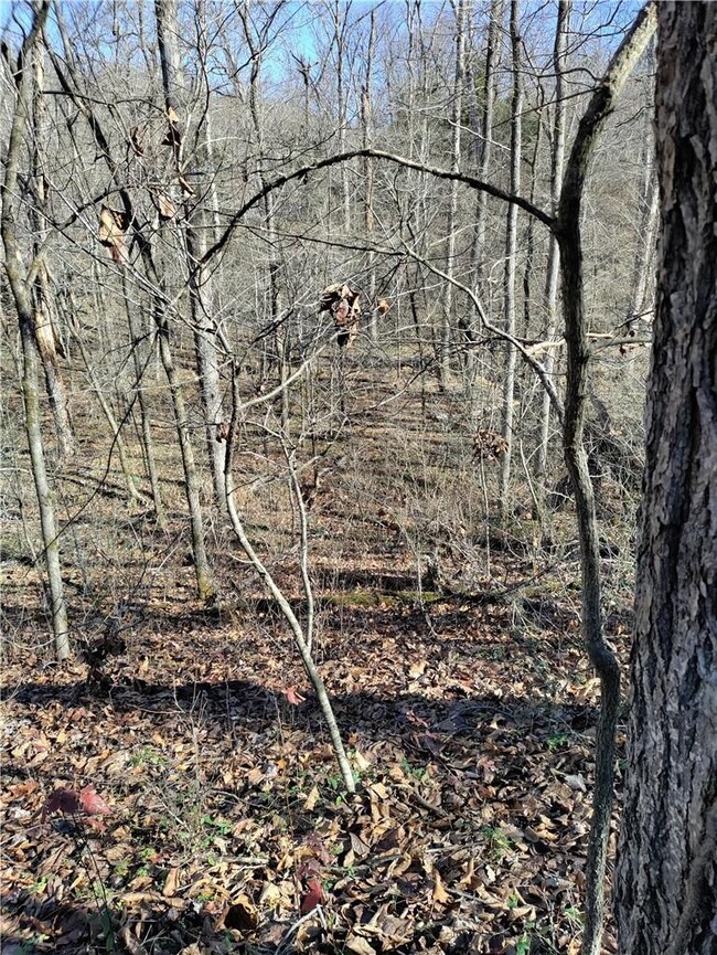 1 Munster Dr, Bella Vista, AR 72715 - photo 7