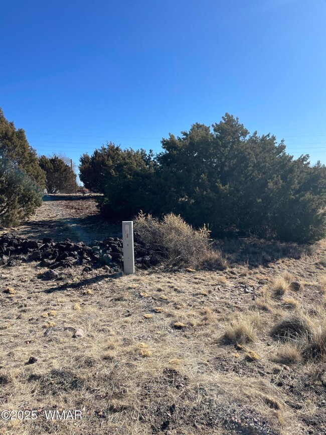 74 Dawn Ln, Concho, AZ 85924 - photo 2